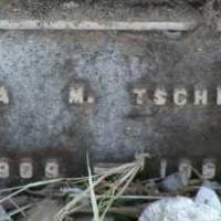 Viola M TSCHIRLEY